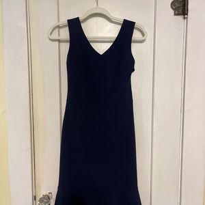 Banana Republic Blue Dress